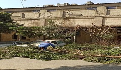azbakya_mar4.jpg