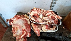 bab_alsha3rya_may1.jpg (1)
