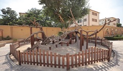 mariam_tree.jpg