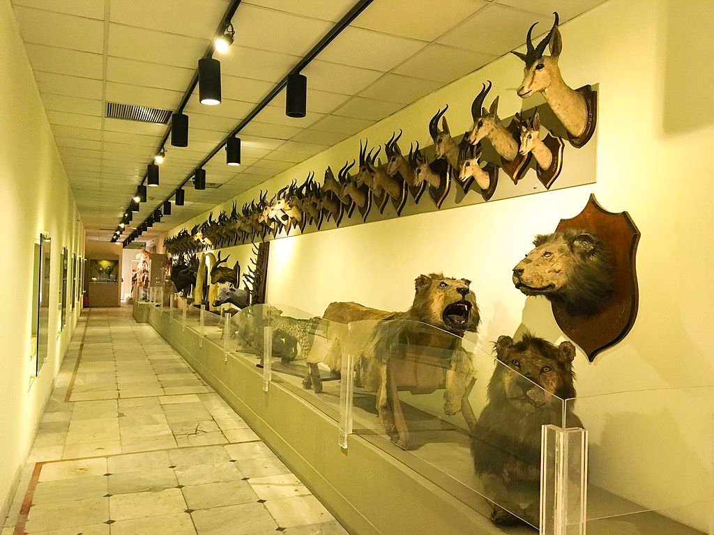 Cairo Hunting Museum