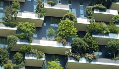 Egypt_Green.jpg