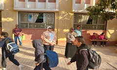 tlem31.10.jpg