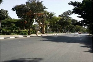almadae689.jpg