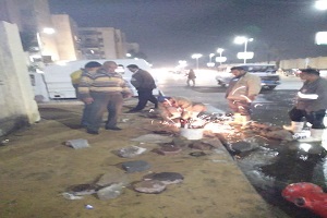 تطوير و تحسين المرافق بالاحياء 