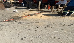 heeaa29.3.jpg