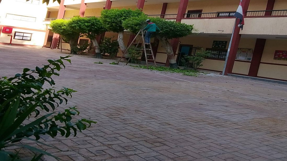 استعادة المظهر الحضاري والجمالي بنطاق الحى 