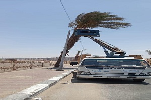 masr adema10.6.jpg