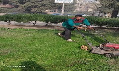 رفع كفاءة المسطحات الخضراء بنطاق الحي