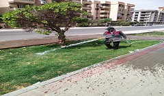 حملة لري الجزيرة الوسطى بشارع الخمسين زهراء المعادي