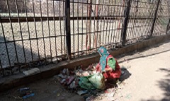 tpeen 29.9.jpg