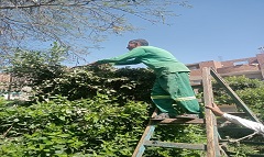 TPEEN18.4.jpg