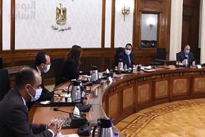 Cabinet_family_development.jpg