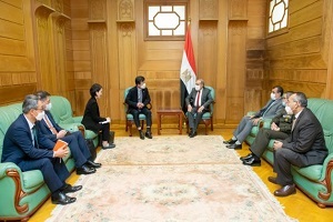 Egypt_south_korea_discuss_cooperation.jpg
