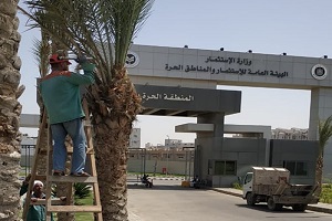 تقليم نخيل ونظافة وصيانة وقص النجيل امام وزارة الاستثمار 