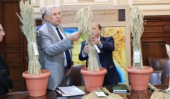Egypt_climate_show.jpg
