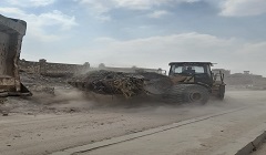 haiah 14m.jpg