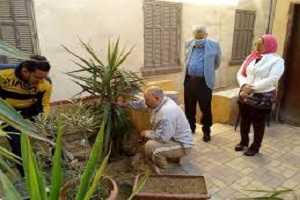 مديرية التربية والتعليم تواصل تجميل وتشجير ديوان تعليم القاهرة