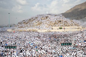 HAJ_9.jpg
