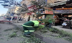 bab_alsha3rya_feb1.jpg