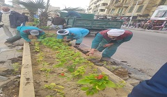 الأشجار تزين بعض شوارع وميادين الحي 