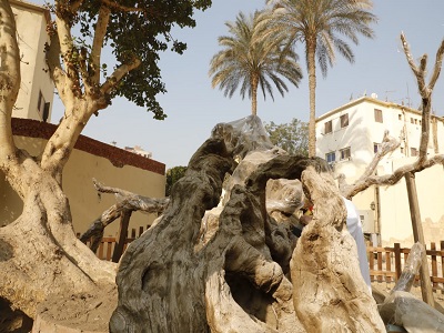 mary tree5.jpg