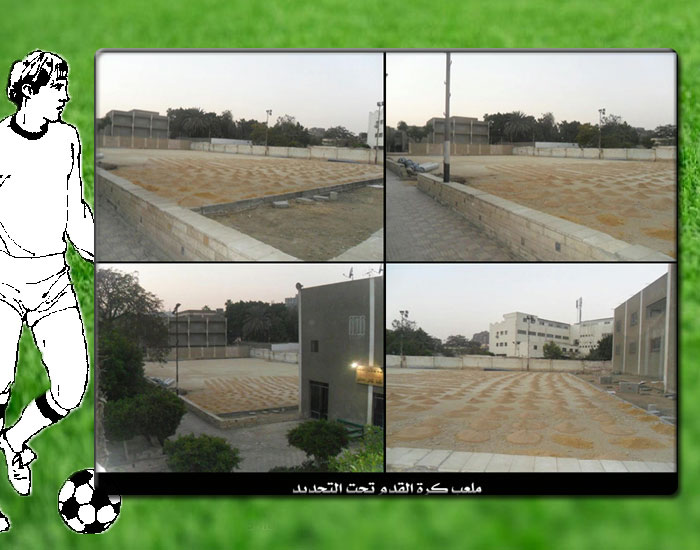 elsayda_zenab1.jpg - Image 2