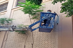 azbakya jul4.jpg