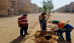 متابعة أعمال الرصف وتطوير اعمدة الانارة وزرع الأشجار بشارع المحمودية