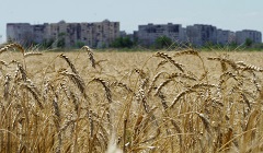PM_store_wheat.jpg