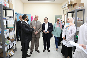 Cairo Gov. conducts inspection tour of Ahalina housing project 