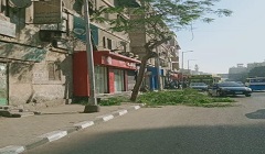 تقليم أشجار شارع منشية الجمل بالحي  