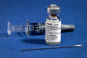 vaccination_strategy.jpg