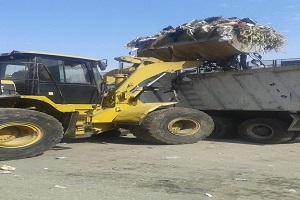 Monsh2t nasr6.jpg (1)
