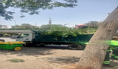 haiah7jjj.jpg