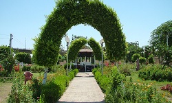Al Alsun Park