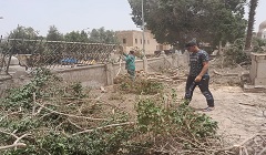 إزالة فروع الأشجار المتساقطة بمقابر الشهداء
