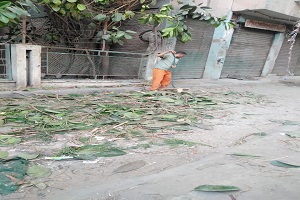 رفع كفاءة شارع كورنيش النيل 