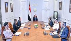 Egypt_Sisi_NAC.jpg