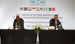 Investment_min_ D-8_countries.jpg