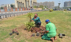 tarya eh nasr.jpg