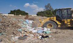 tora20.11.jpg