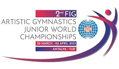 Egypt_Gymnastic_championship.jpg