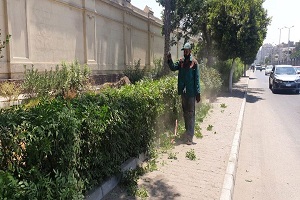 متابعة الأعمال اليومية بالحي 
