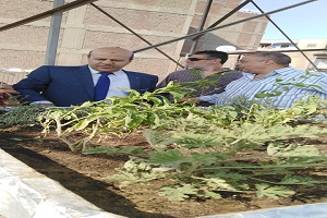 bab alsha3rya ju8.jpg