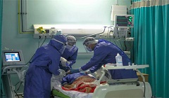 Egypt_corona_virus.jpg (1)