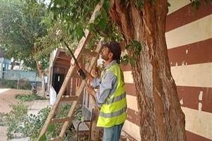 moatam 31.1.jpg