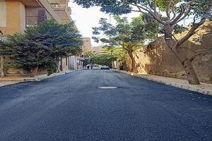 rasf.jpg (1)