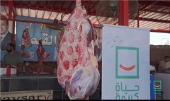haya.jpg (1)