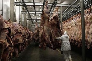 veal_project.jpg