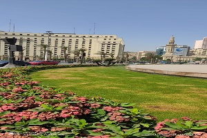رفع كفاءة المسطحات الخضراء بميدان التحرير